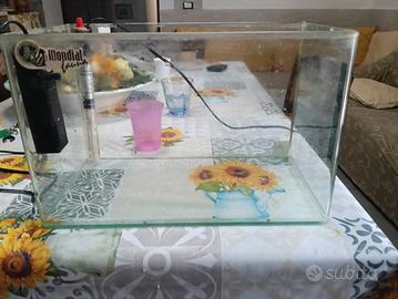 Acquario/tartarughiera