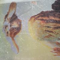 Libri in lingua francese classici e moderni