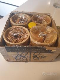 pistoni fiat 1100 epoca