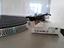 Immagine 5