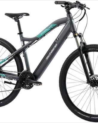 Bicicletta elettrica