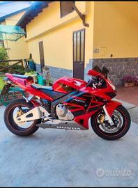 Honda CBR 600 RR