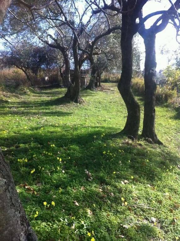 Terreno di 5550 m² a Minturno - Vista 5