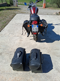 Moto triumph limited del 2008