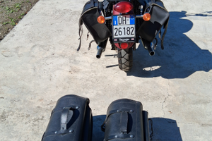 Moto triumph limited del 2008