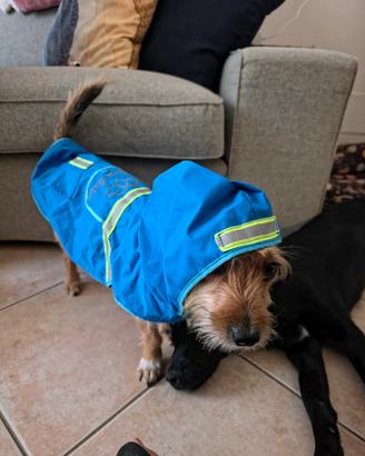 Cappotino per cani taglia XS/S