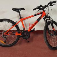 Bici Mountain bike 24