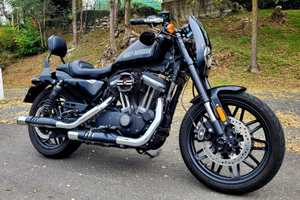 Harley-Davidson Sportster Roadster 1200