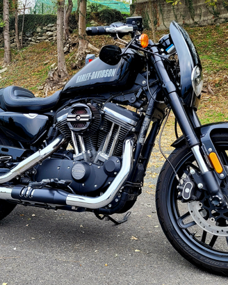 Harley-Davidson Sportster Roadster 1200