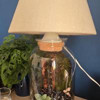 lampade terrario personalizzate