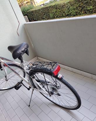 Bici da uomo 