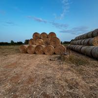 Prato naturale in balloni