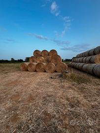 Prato naturale in balloni