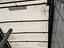 Immagine 26