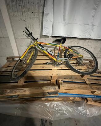 Bicicletta unisex
