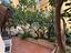 Immagine 26