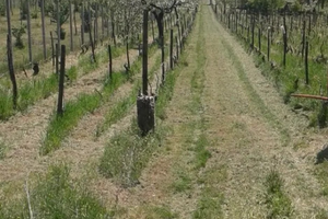Casa singola con terreno