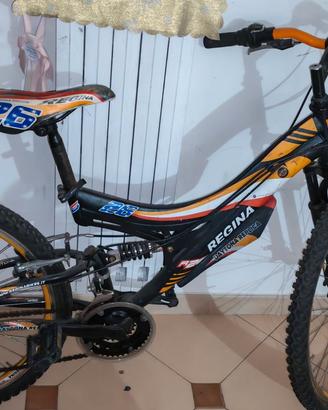 Bici mountain bike
