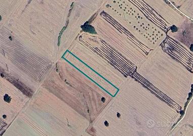 Terreno agricolo a Genzano di Lucania (PZ)