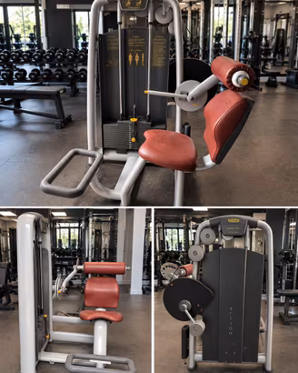 Technogym Lower Back professionale – macchina lomb