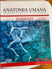 Anatomia umana