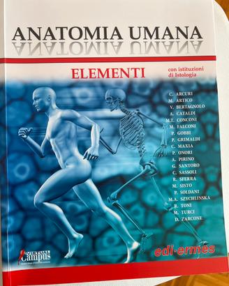 Anatomia umana