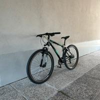 Bicicletta Bottecchia