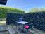 Immagine 21