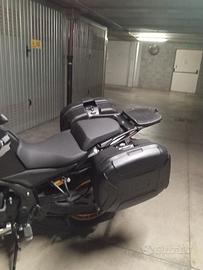 coppia borse Gigi nuove voge valico 625 525 dsx