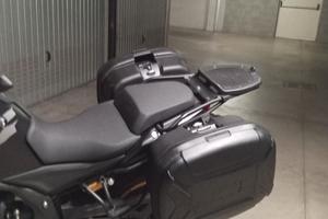 coppia borse Gigi nuove voge valico 625 525 dsx