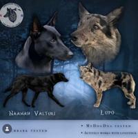 Cane Delle Alpi Apuane