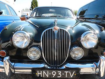 Jaguar d'epora