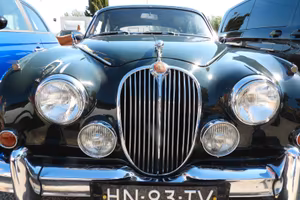 Jaguar d'epora