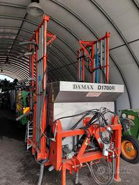 spandiconcime localizzato damax