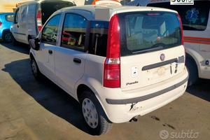 CAMBIO Fiat Panda 1.2 benzina-anno 2011 - 169A4000