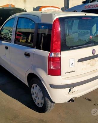 CAMBIO Fiat Panda 1.2 benzina-anno 2011 - 169A4000
