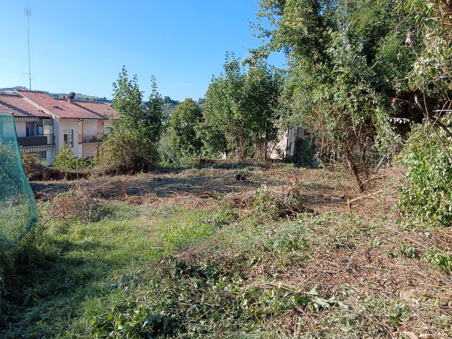 Terreno edificabile Amelia Fornole - Vista 5