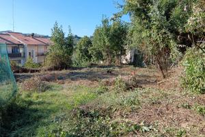 Terreno edificabile Amelia Fornole