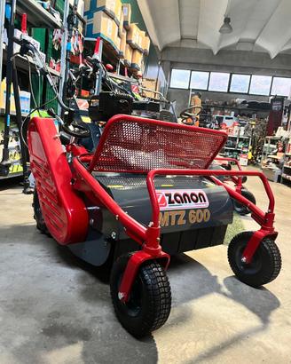 TRINCIAERBA MTZ600