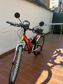 mountain bike