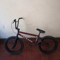 Bmx professionale BSD