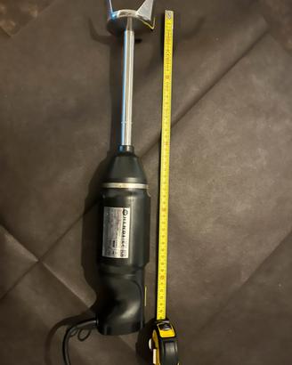 Frullatore professionale