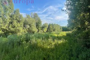 Terreno agricolo a Palse di Porcia