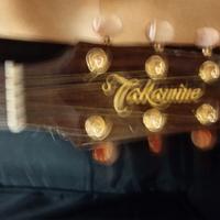 Chitarra acustica takamine