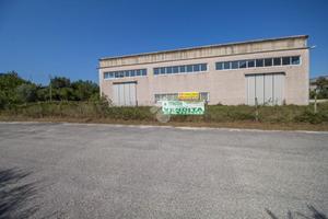 MULTILOCALE A CITTADUCALE