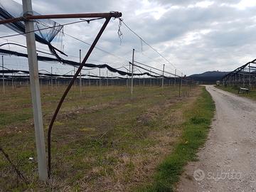 Terreno agricolo