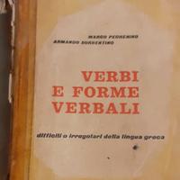 M. Pechenino-A. Sorrentino Verbi e Forme dif. irr.