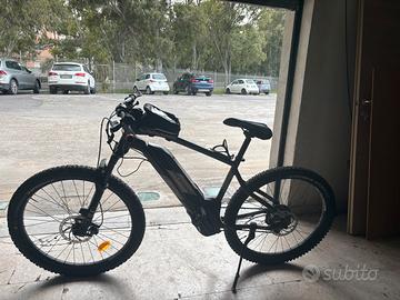 bici elettrica