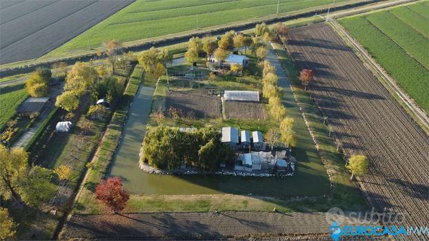 Terreno Agricolo a Carpi