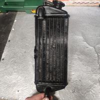 radiatore destro am6